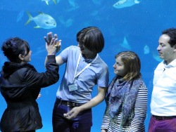 Popular TV travel program films an episode in the Primorsky Aquarium.